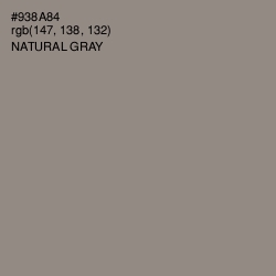 #938A84 - Natural Gray Color Image